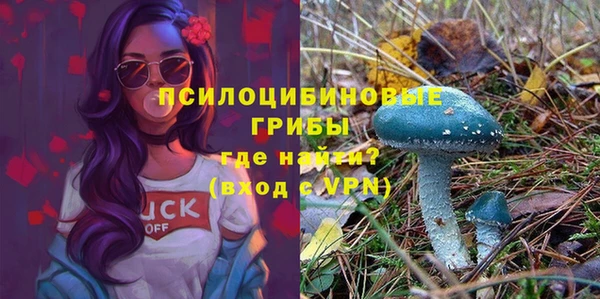 ECSTASY Аркадак